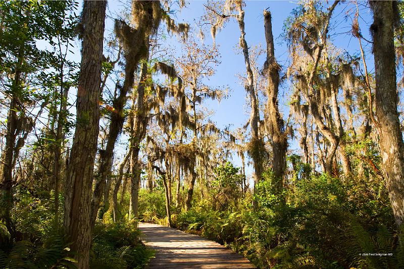 20090220_152141 D3 P1 5100x3400 srgb.jpg - Loxahatchee National Wildlife Preserve sits about 10 miles West of the Atlantic Ocean in Boynton Beach, FL